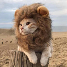 Load image into Gallery viewer, Pet Hair Headgear For Small Dog And Cats, Mane Wig Puppy Costume For Halloween Christmas
